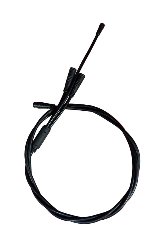 DRAGON CRUISER DISPLAY HARNESS