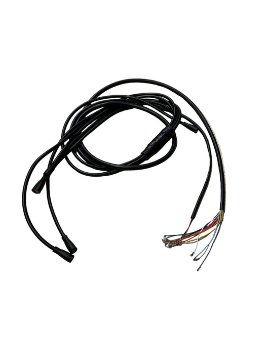 DRAGON SCORPION WIRE HARNESS
