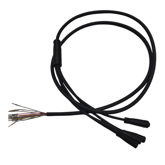 AUSOM DT2 PRO DISPLAY WIRE HARNESS