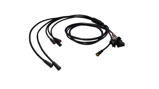 DRAGON NINJA DISPLAY WIRING HARNESS