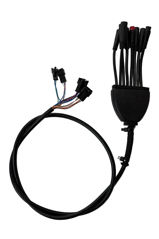 NAMI STELLAR DISPLAY WIRE HARNESS GEN 1