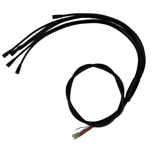 DRAGON LIGHTNING V2 DISPLAY HARNESS GEN 1