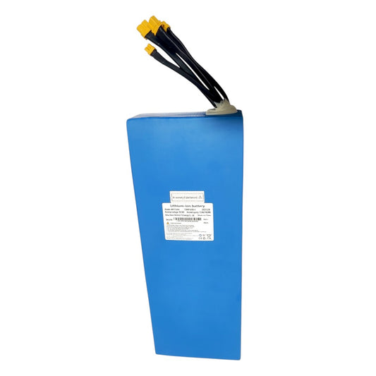 48V 15.6AH BATTERY FOR AUSOM L2