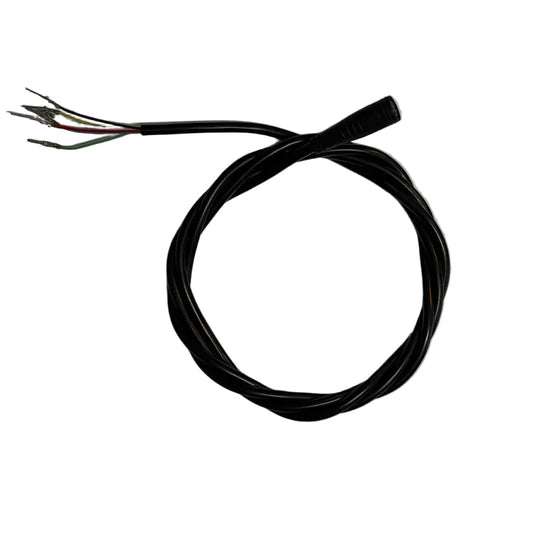 DRAGON RAPTOR DISPLAY WIRE