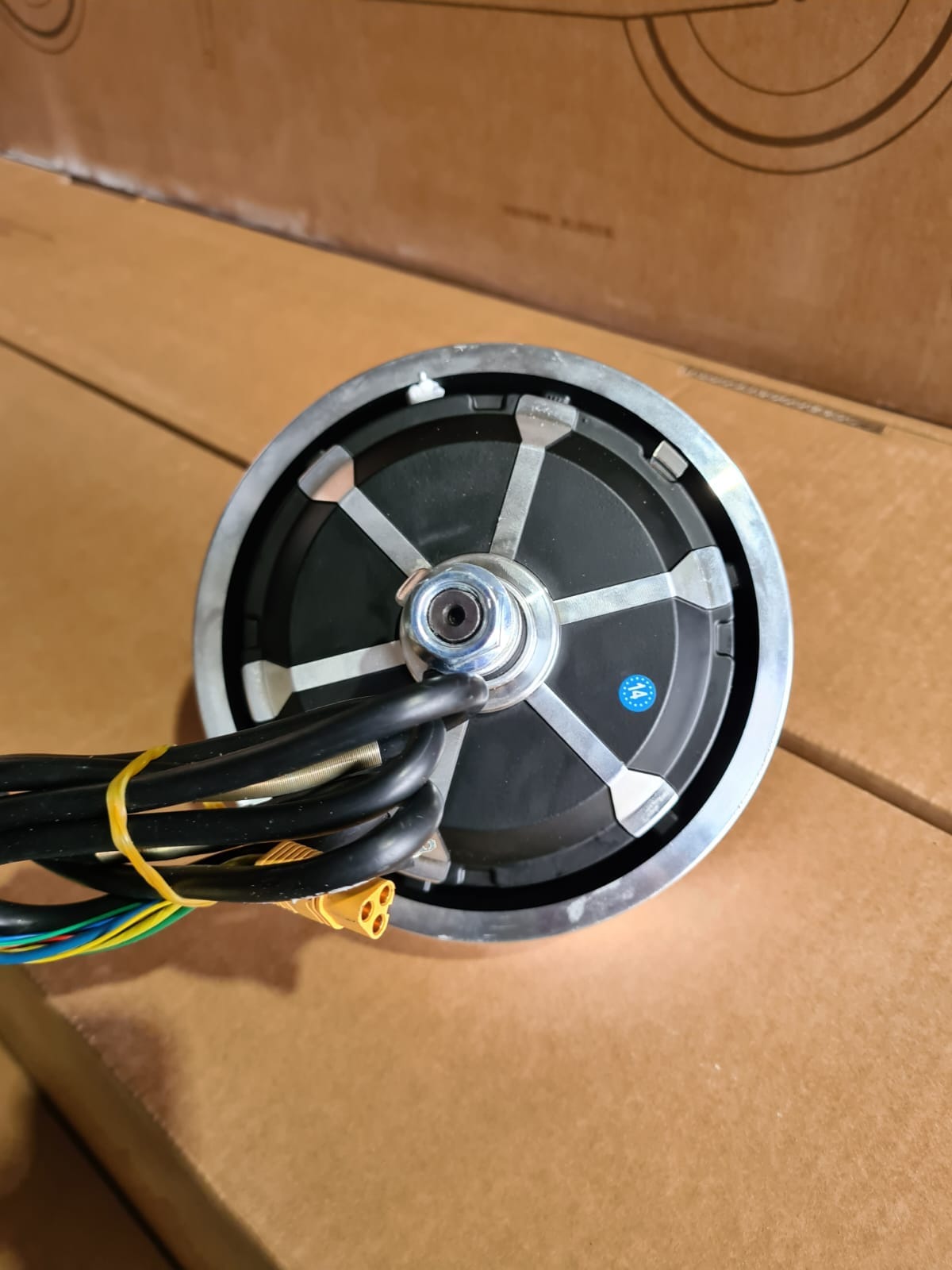 1000W MOTOR FOR DRAGON RAPTOR